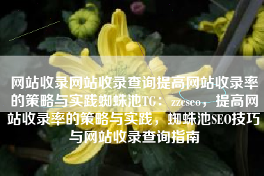 网站收录网站收录查询提高网站收录率的策略与实践蜘蛛池TG：zzcseo，提高网站收录率的策略与实践，蜘蛛池SEO技巧与网站收录查询指南