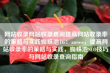 网站收录网站收录查询提高网站收录率的策略与实践蜘蛛池TG：zzcseo，提高网站收录率的策略与实践，蜘蛛池SEO技巧与网站收录查询指南