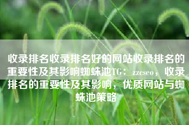收录排名收录排名好的网站收录排名的重要性及其影响蜘蛛池TG：zzcseo，收录排名的重要性及其影响，优质网站与蜘蛛池策略