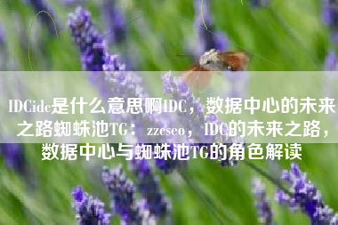IDCidc是什么意思啊IDC，数据中心的未来之路蜘蛛池TG：zzcseo，IDC的未来之路，数据中心与蜘蛛池TG的角色解读