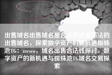 出售域名出售域名是合法的还是违法的出售域名，探索数字资产的新机遇蜘蛛池TG：zzcseo，域名出售合法性探讨，数字资产的新机遇与蜘蛛池TG域名交易探索