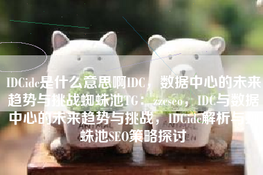 IDCidc是什么意思啊IDC,数据中心的未来趋势与挑战蜘蛛池TG:zzcseo,IDC与数据中心的未来趋势与挑战,IDCidc解析与蜘蛛池SEO策略探讨 IDCidc是什么意思啊IDC,数据中心的未来趋势与挑战蜘蛛池TG:zzcseo,IDC与数据中心的未来趋势与挑战,IDCidc解析与蜘蛛池SEO策略探讨