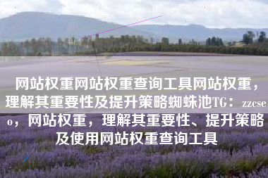 网站权重网站权重查询工具网站权重，理解其重要性及提升策略蜘蛛池TG：zzcseo，网站权重，理解其重要性、提升策略及使用网站权重查询工具