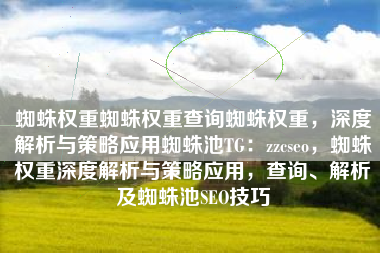 蜘蛛权重蜘蛛权重查询蜘蛛权重，深度解析与策略应用蜘蛛池TG：zzcseo，蜘蛛权重深度解析与策略应用，查询、解析及蜘蛛池SEO技巧