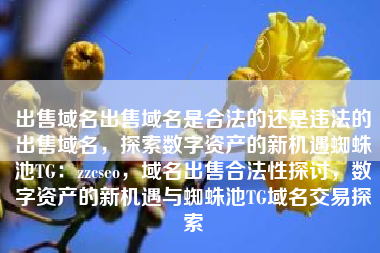 出售域名出售域名是合法的还是违法的出售域名，探索数字资产的新机遇蜘蛛池TG：zzcseo，域名出售合法性探讨，数字资产的新机遇与蜘蛛池TG域名交易探索