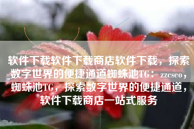 软件下载软件下载商店软件下载，探索数字世界的便捷通道蜘蛛池TG：zzcseo，蜘蛛池TG，探索数字世界的便捷通道，软件下载商店一站式服务