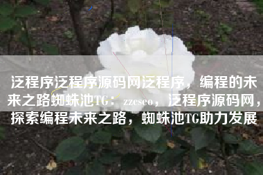 泛程序泛程序源码网泛程序，编程的未来之路蜘蛛池TG：zzcseo，泛程序源码网，探索编程未来之路，蜘蛛池TG助力发展