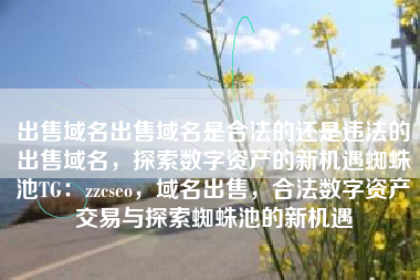 出售域名出售域名是合法的还是违法的出售域名，探索数字资产的新机遇蜘蛛池TG：zzcseo，域名出售，合法数字资产交易与探索蜘蛛池的新机遇