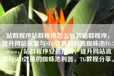 站群程序站群程序怎么安装站群程序,提升网站流量与SEO效果的利器蜘蛛池TG:zzcseo,站群程序安装指南,提升网站流量与SEO效果的蜘蛛池利器,TG教程分享。 站群程序站群程序怎么安装站群程序,提升网站流量与SEO效果的利器蜘蛛池TG:zzcseo,站群程序安装指南,提升网站流量与SEO效果的蜘蛛池利器,TG教程分享。