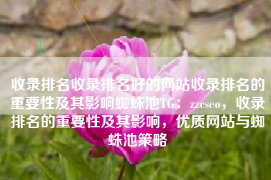 收录排名收录排名好的网站收录排名的重要性及其影响蜘蛛池TG：zzcseo，收录排名的重要性及其影响，优质网站与蜘蛛池策略