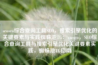 seoseo综合查询工具SEO，搜索引擎优化的关键要素与实践蜘蛛池TG：zzcseo，SEO综合查询工具与搜索引擎优化关键要素实践，蜘蛛池TG指南