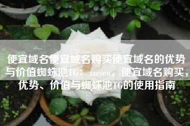 便宜域名便宜域名购买便宜域名的优势与价值蜘蛛池TG:zzcseo,便宜域名购买,优势、价值与蜘蛛池TG的使用指南 便宜域名便宜域名购买便宜域名的优势与价值蜘蛛池TG:zzcseo,便宜域名购买,优势、价值与蜘蛛池TG的使用指南