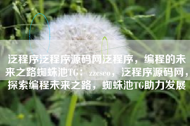 泛程序泛程序源码网泛程序，编程的未来之路蜘蛛池TG：zzcseo，泛程序源码网，探索编程未来之路，蜘蛛池TG助力发展