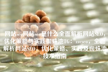 网站seo网站seo是什么全面解析网站SEO，优化策略与实践蜘蛛池TG：zzcseo，全面解析网站SEO，优化策略、实践及蜘蛛池技术指南