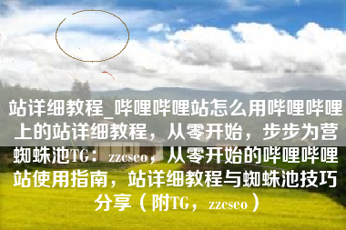 站详细教程_哔哩哔哩站怎么用哔哩哔哩上的站详细教程，从零开始，步步为营蜘蛛池TG：zzcseo，从零开始的哔哩哔哩站使用指南，站详细教程与蜘蛛池技巧分享（附TG，zzcseo）