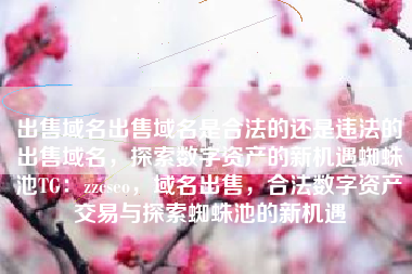 出售域名出售域名是合法的还是违法的出售域名，探索数字资产的新机遇蜘蛛池TG：zzcseo，域名出售，合法数字资产交易与探索蜘蛛池的新机遇