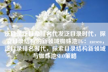 泛目录泛目录排名代发泛目录时代，探索目录结构的新领域蜘蛛池TG：zzcseo，泛目录排名时代，探索目录结构新领域与蜘蛛池SEO策略