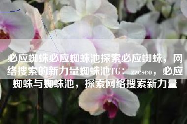 必应蜘蛛必应蜘蛛池探索必应蜘蛛，网络搜索的新力量蜘蛛池TG：zzcseo，必应蜘蛛与蜘蛛池，探索网络搜索新力量