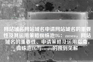网站域名网站域名申请网站域名的重要性及其运用策略蜘蛛池TG：zzcseo，网站域名的重要性、申请策略及运用指南，蜘蛛池TG与zzcseo的独到见解