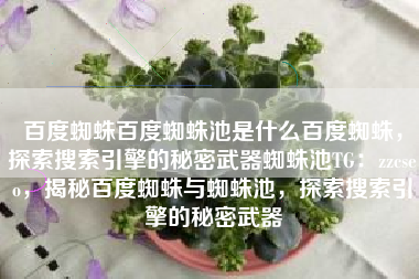 百度蜘蛛百度蜘蛛池是什么百度蜘蛛,探索搜索引擎的秘密武器蜘蛛池TG:zzcseo,揭秘百度蜘蛛与蜘蛛池,探索搜索引擎的秘密武器 百度蜘蛛百度蜘蛛池是什么百度蜘蛛,探索搜索引擎的秘密武器蜘蛛池TG:zzcseo,揭秘百度蜘蛛与蜘蛛池,探索搜索引擎的秘密武器