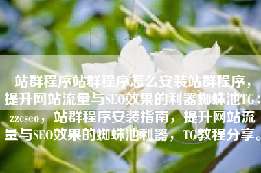 站群程序站群程序怎么安装站群程序，提升网站流量与SEO效果的利器蜘蛛池TG：zzcseo，站群程序安装指南，提升网站流量与SEO效果的蜘蛛池利器，TG教程分享。