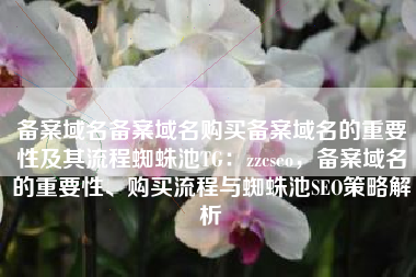 备案域名备案域名购买备案域名的重要性及其流程蜘蛛池TG：zzcseo，备案域名的重要性、购买流程与蜘蛛池SEO策略解析
