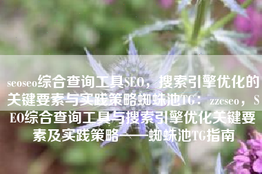 seoseo综合查询工具SEO，搜索引擎优化的关键要素与实践策略蜘蛛池TG：zzcseo，SEO综合查询工具与搜索引擎优化关键要素及实践策略——蜘蛛池TG指南