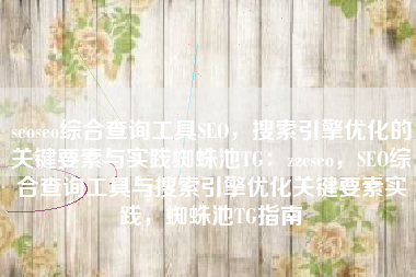 seoseo综合查询工具SEO，搜索引擎优化的关键要素与实践蜘蛛池TG：zzcseo，SEO综合查询工具与搜索引擎优化关键要素实践，蜘蛛池TG指南
