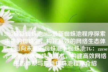 2025最新蜘蛛池2025最新蜘蛛池程序探索未来的蜘蛛池，构建高效的网络生态体系（面向未来的蜘蛛池）蜘蛛池TG：zzcseo，探索未来蜘蛛池技术，构建高效网络生态体系与最新蜘蛛池程序介绍