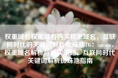 权重域名权重域名购买权重域名，互联网时代的关键词解析蜘蛛池TG：zzcseo，权重域名解析与购买策略，互联网时代关键词解析蜘蛛池指南