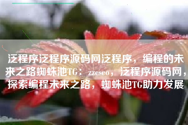 泛程序泛程序源码网泛程序，编程的未来之路蜘蛛池TG：zzcseo，泛程序源码网，探索编程未来之路，蜘蛛池TG助力发展