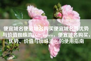 便宜域名便宜域名购买便宜域名的优势与价值蜘蛛池TG:zzcseo,便宜域名购买,优势、价值与蜘蛛池TG的使用指南 便宜域名便宜域名购买便宜域名的优势与价值蜘蛛池TG:zzcseo,便宜域名购买,优势、价值与蜘蛛池TG的使用指南