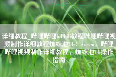 详细教程_哔哩哔哩bilibili教程哔哩哔哩视频制作详细教程蜘蛛池TG:zzcseo,哔哩哔哩视频制作详细教程,蜘蛛池TG操作指南 详细教程_哔哩哔哩bilibili教程哔哩哔哩视频制作详细教程蜘蛛池TG:zzcseo,哔哩哔哩视频制作详细教程,蜘蛛池TG操作指南