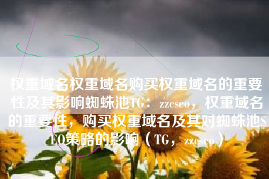 权重域名权重域名购买权重域名的重要性及其影响蜘蛛池TG：zzcseo，权重域名的重要性，购买权重域名及其对蜘蛛池SEO策略的影响（TG，zzcseo）