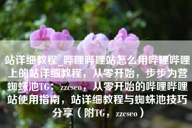 站详细教程_哔哩哔哩站怎么用哔哩哔哩上的站详细教程,从零开始,步步为营蜘蛛池TG:zzcseo,从零开始的哔哩哔哩站使用指南,站详细教程与蜘蛛池技巧分享(附TG,zzcseo) 站详细教程_哔哩哔哩站怎么用哔哩哔哩上的站详细教程,从零开始,步步为营蜘蛛池TG:zzcseo,从零开始的哔哩哔哩站使用指南,站详细教程与蜘蛛池技巧分享(附TG,zzcseo)