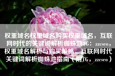 权重域名权重域名购买权重域名,互联网时代的关键词解析蜘蛛池TG:zzcseo,权重域名解析与购买策略,互联网时代关键词解析蜘蛛池指南(附TG,zzcseo) 权重域名权重域名购买权重域名,互联网时代的关键词解析蜘蛛池TG:zzcseo,权重域名解析与购买策略,互联网时代关键词解析蜘蛛池指南(附TG,zzcseo)