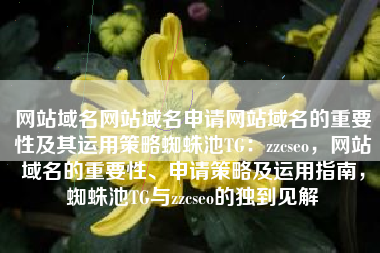 网站域名网站域名申请网站域名的重要性及其运用策略蜘蛛池TG：zzcseo，网站域名的重要性、申请策略及运用指南，蜘蛛池TG与zzcseo的独到见解