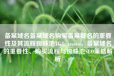 备案域名备案域名购买备案域名的重要性及其流程蜘蛛池TG：zzcseo，备案域名的重要性、购买流程与蜘蛛池SEO策略解析