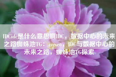 IDCidc是什么意思啊IDC，数据中心的未来之路蜘蛛池TG：zzcseo，IDC与数据中心的未来之路，蜘蛛池TG探索