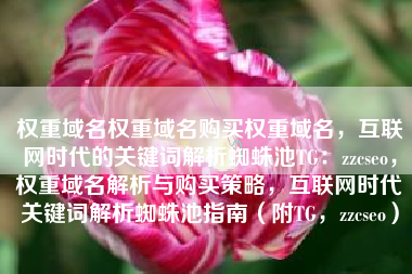 权重域名权重域名购买权重域名，互联网时代的关键词解析蜘蛛池TG：zzcseo，权重域名解析与购买策略，互联网时代关键词解析蜘蛛池指南（附TG，zzcseo）