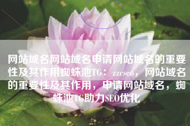 网站域名,在互联网时代的标识与力量