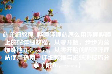 站详细教程_哔哩哔哩站怎么用哔哩哔哩上的站详细教程，从零开始，步步为营蜘蛛池TG：zzcseo，从零开始的哔哩哔哩站使用指南，详细教程与蜘蛛池技巧分享（附TG，zzcseo）