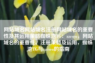网站域名网站域名注册网站域名的重要性及其运用策略蜘蛛池TG：zzcseo，网站域名的重要性、注册策略及运用，蜘蛛池TG与zzcseo的指南