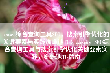 seoseo综合查询工具SEO，搜索引擎优化的关键要素与实践蜘蛛池TG：zzcseo，SEO综合查询工具与搜索引擎优化关键要素实践，蜘蛛池TG指南