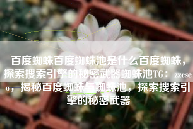 百度蜘蛛百度蜘蛛池是什么百度蜘蛛,探索搜索引擎的秘密武器蜘蛛池TG:zzcseo,揭秘百度蜘蛛与蜘蛛池,探索搜索引擎的秘密武器 百度蜘蛛百度蜘蛛池是什么百度蜘蛛,探索搜索引擎的秘密武器蜘蛛池TG:zzcseo,揭秘百度蜘蛛与蜘蛛池,探索搜索引擎的秘密武器