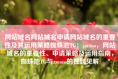 网站域名网站域名申请网站域名的重要性及其运用策略蜘蛛池TG:zzcseo,网站域名的重要性、申请策略及运用指南,蜘蛛池TG与zzcseo的独到见解 网站域名网站域名申请网站域名的重要性及其运用策略蜘蛛池TG:zzcseo,网站域名的重要性、申请策略及运用指南,蜘蛛池TG与zzcseo的独到见解