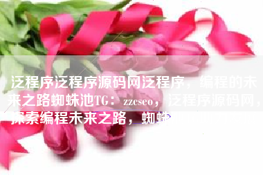 泛程序泛程序源码网泛程序，编程的未来之路蜘蛛池TG：zzcseo，泛程序源码网，探索编程未来之路，蜘蛛池TG助力发展