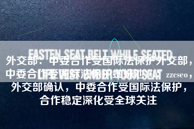 外交部：中委合作受国际法保护外交部，中委合作受国际法保护蜘蛛池TG：zzcseo，外交部确认，中委合作受国际法保护，合作稳定深化受全球关注