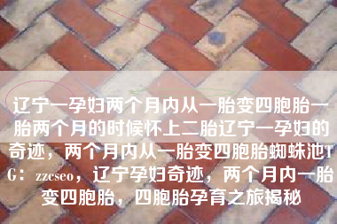 辽宁一孕妇两个月内从一胎变四胞胎一胎两个月的时候怀上二胎辽宁一孕妇的奇迹，两个月内从一胎变四胞胎蜘蛛池TG：zzcseo，辽宁孕妇奇迹，两个月内一胎变四胞胎，四胞胎孕育之旅揭秘