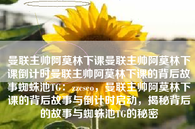 曼联主帅阿莫林下课曼联主帅阿莫林下课倒计时曼联主帅阿莫林下课的背后故事蜘蛛池TG：zzcseo，曼联主帅阿莫林下课的背后故事与倒计时启动，揭秘背后的故事与蜘蛛池TG的秘密